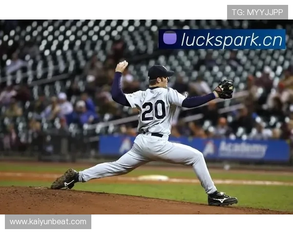 开云网页版入口手机版官方入口地址，快速登录安全保障全解析